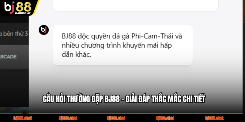 Câu Hỏi Thường Gặp BJ88 - Giải Đáp Thắc Mắc Chi Tiết