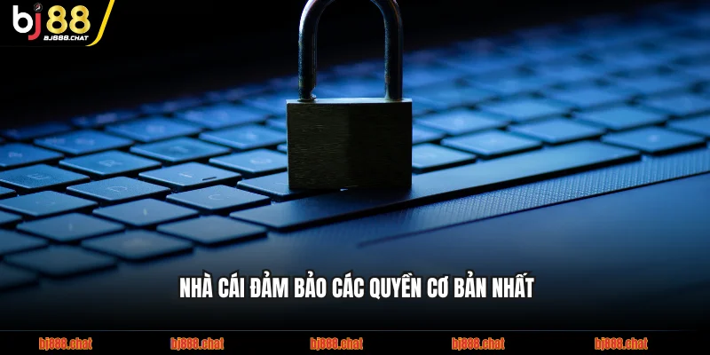 Nhà cái đảm bảo các quyền cơ bản nhất