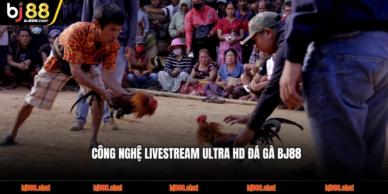 Công nghệ livestream Ultra HD đá gà BJ88