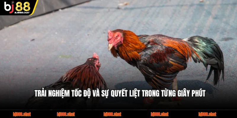 Trải nghiệm tốc độ và sự quyết liệt trong từng giây phút