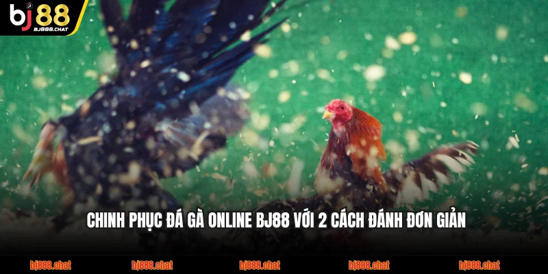 Chinh Phục Đá Gà Online BJ88 Với 2 Cách Đánh Đơn Giản