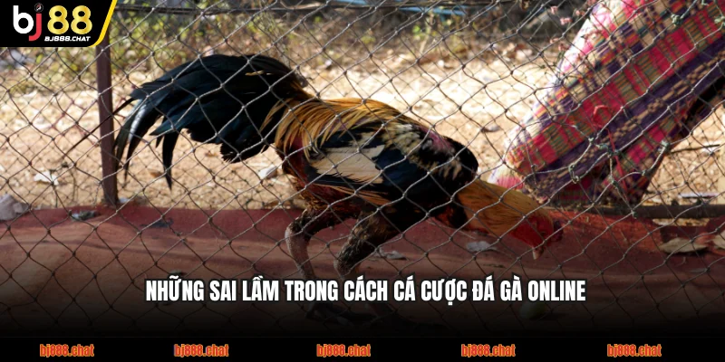 Những sai lầm trong cách cá cược đá gà online BJ88