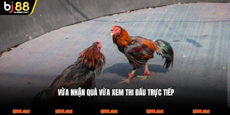 Vừa nhận quà vừa xem thi đấu trực tiếp