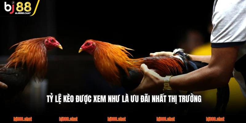 Tỷ lệ kèo được xem như là ưu đãi nhất thị trường